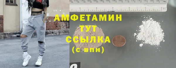 сатива Белокуриха