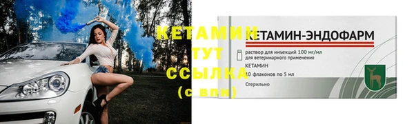 сатива Белокуриха