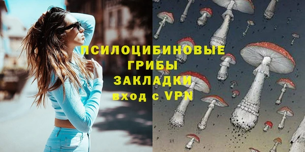 сатива Белокуриха